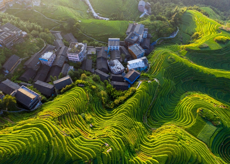 7-Day Guilin, Yangshuo, Chongqing & Zhangjiajie Private Tour
