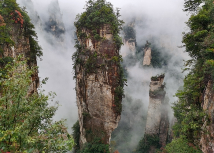 Avatar Hallelujah Mountain