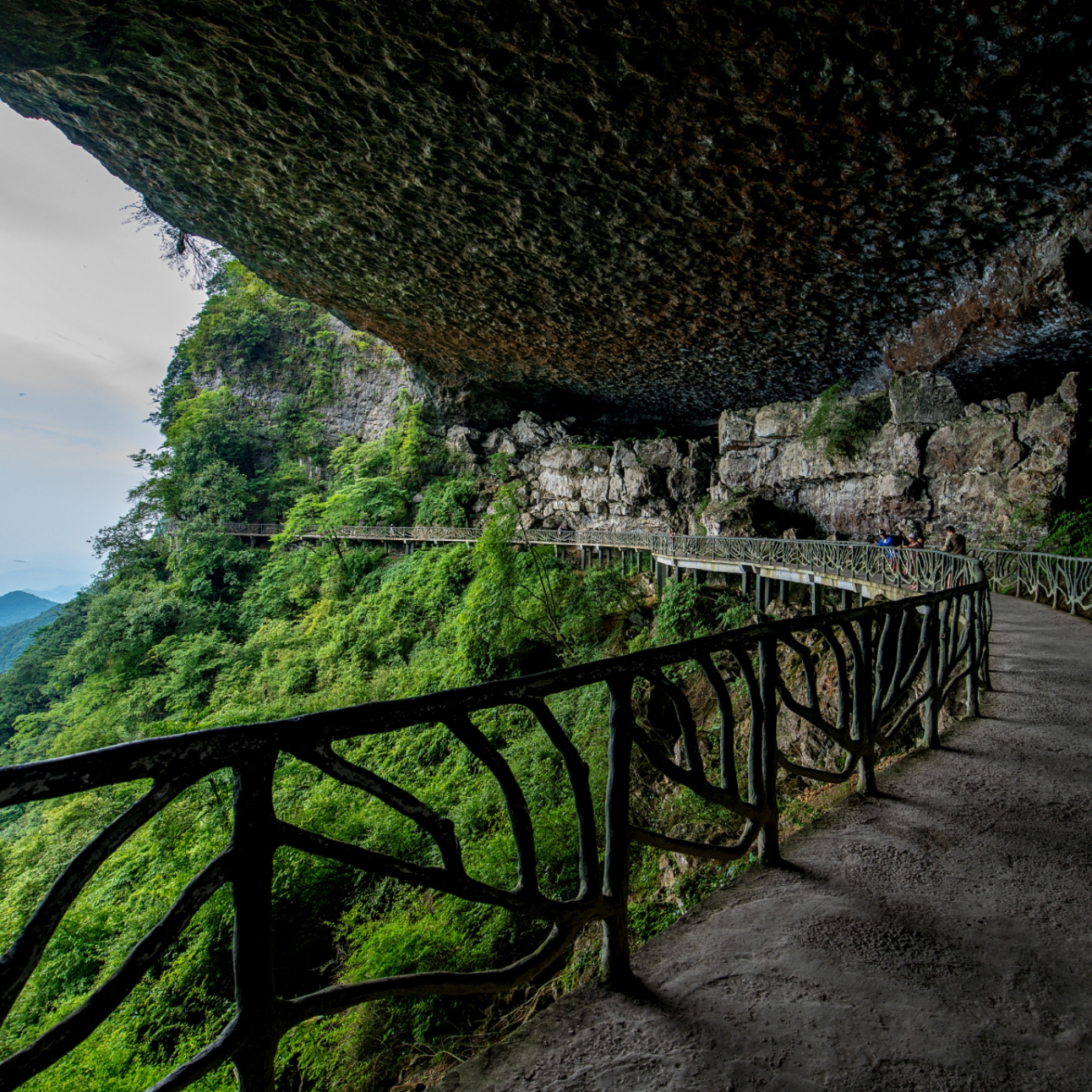Chongqing Jinfo Mountain Day Tour