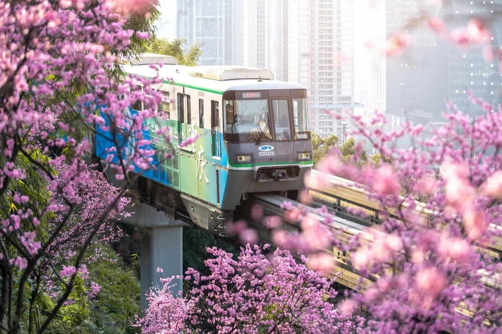 Chongqing in Spring