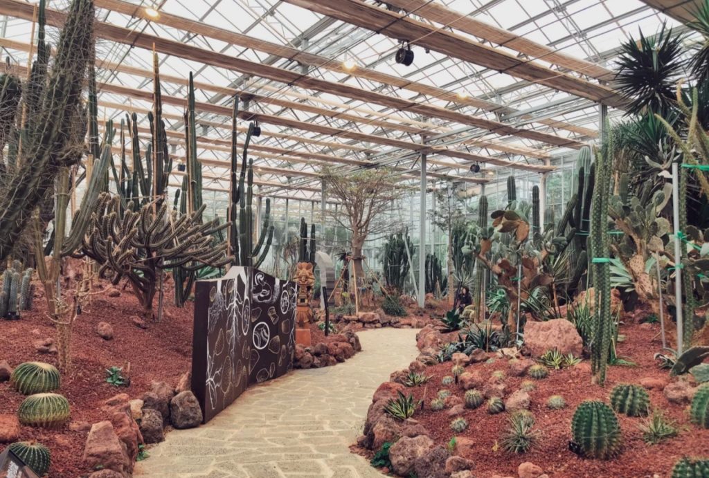 Desert Hall