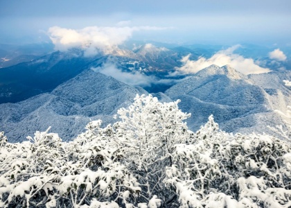 Jinfo Mountain