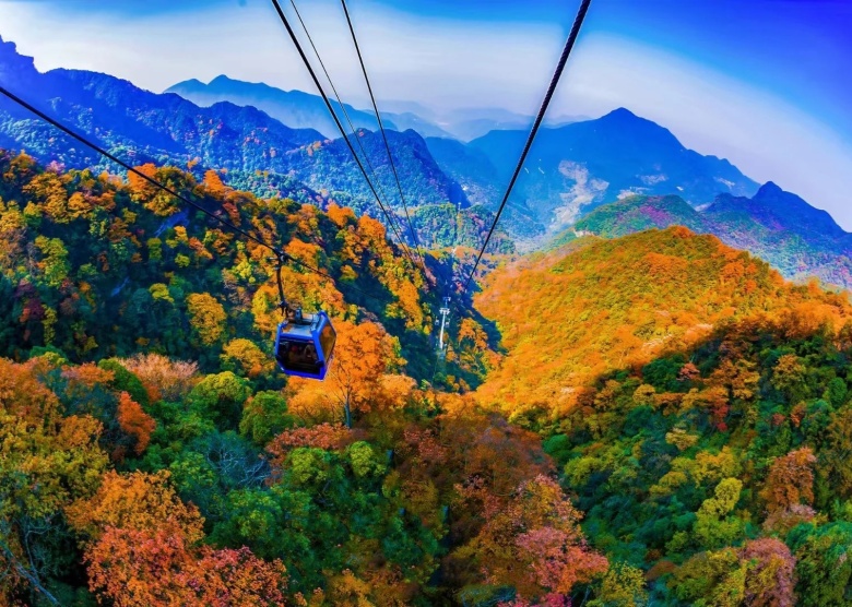 Jinfo Mountain in Autumn