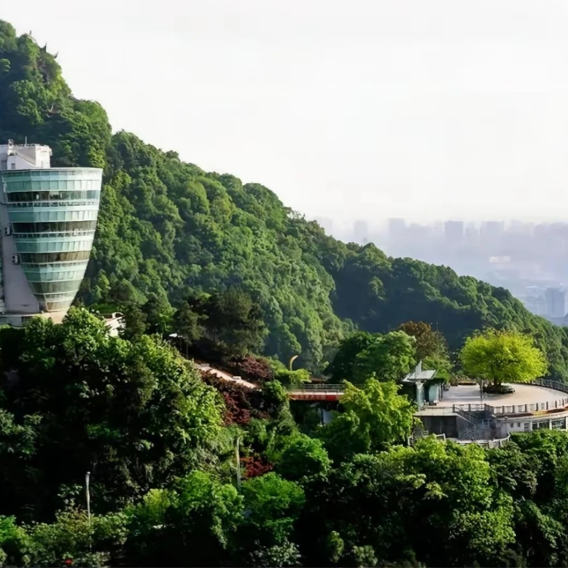 Nanshan Tree