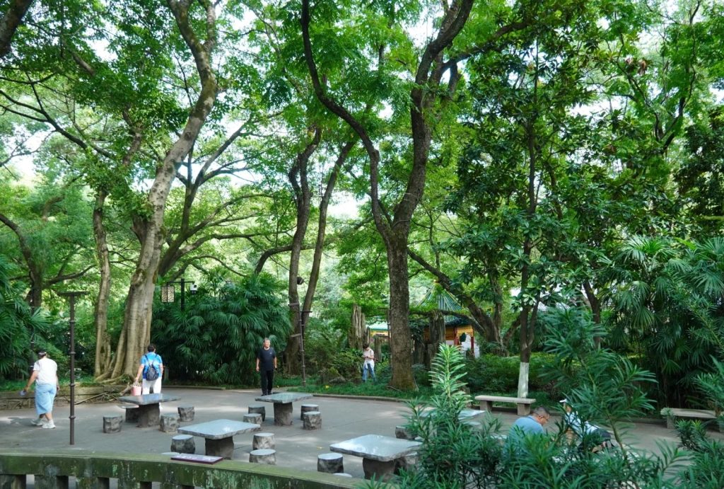 People strolling in the park