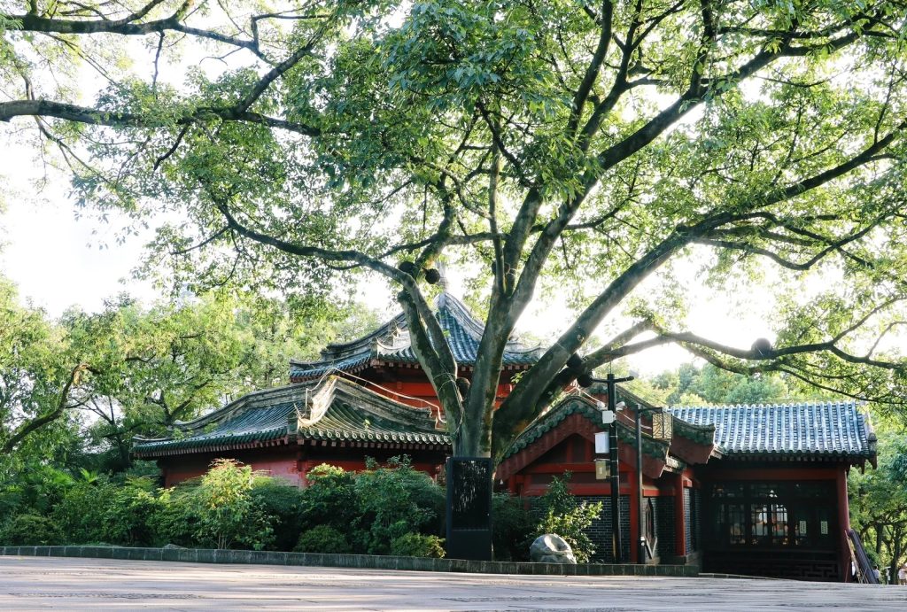 The Scenery of Eling Park
