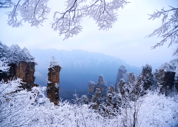 Tianzi Mountain