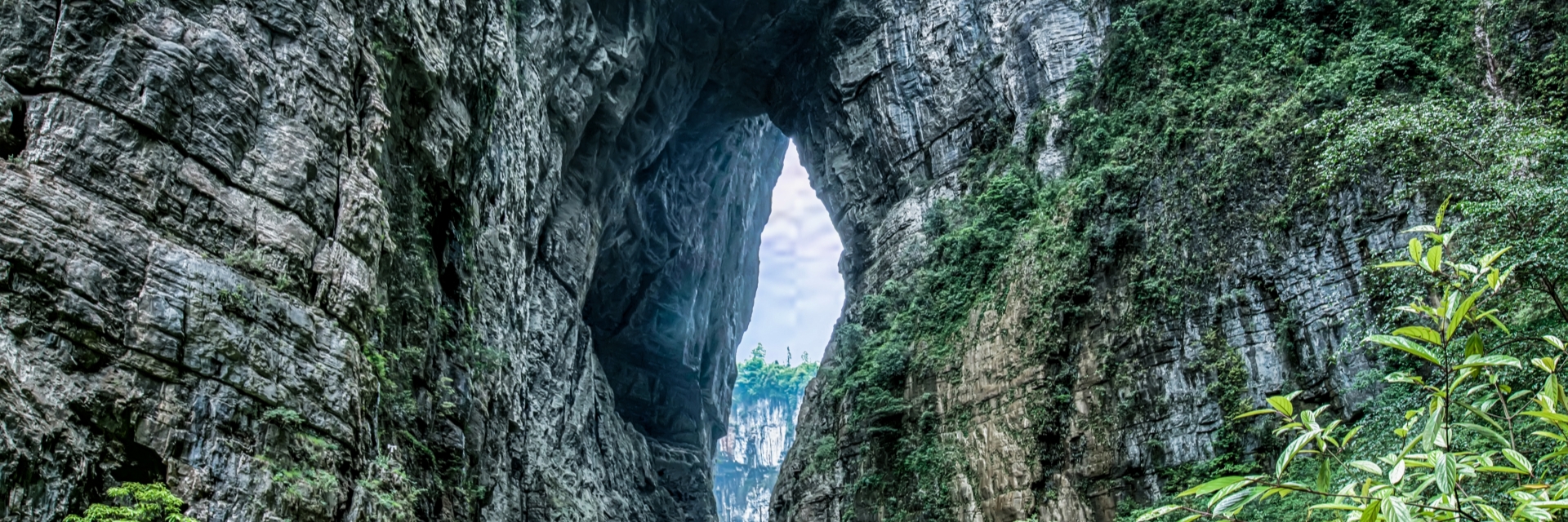 Wulong