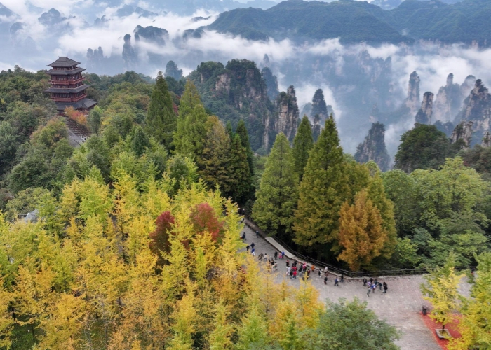Zhangjiajie National Forest Park