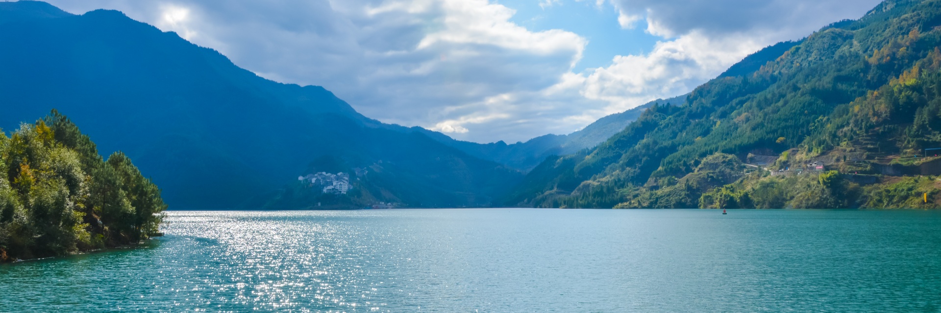 nature banner new
