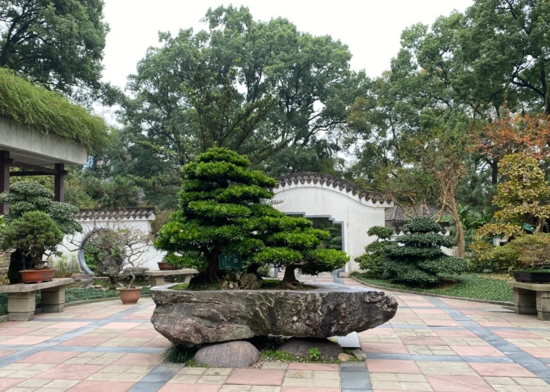 Bonsai Garden