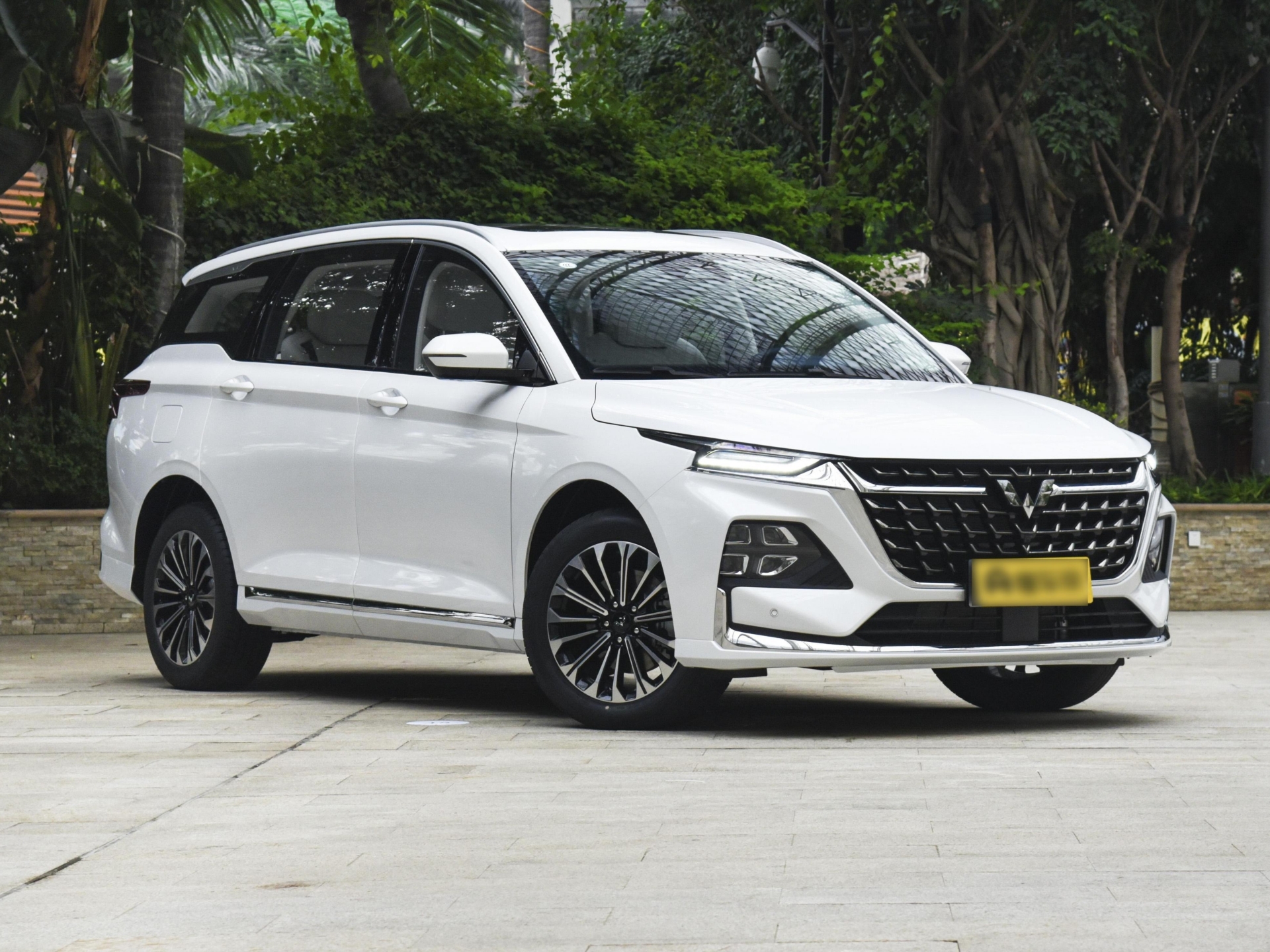 7-Seater MPV for Family Travel in Chongqing