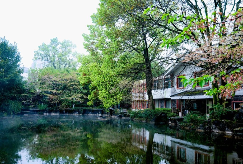 Chongqing natural landscapes-Chongqing Nanshan Botanical Garden