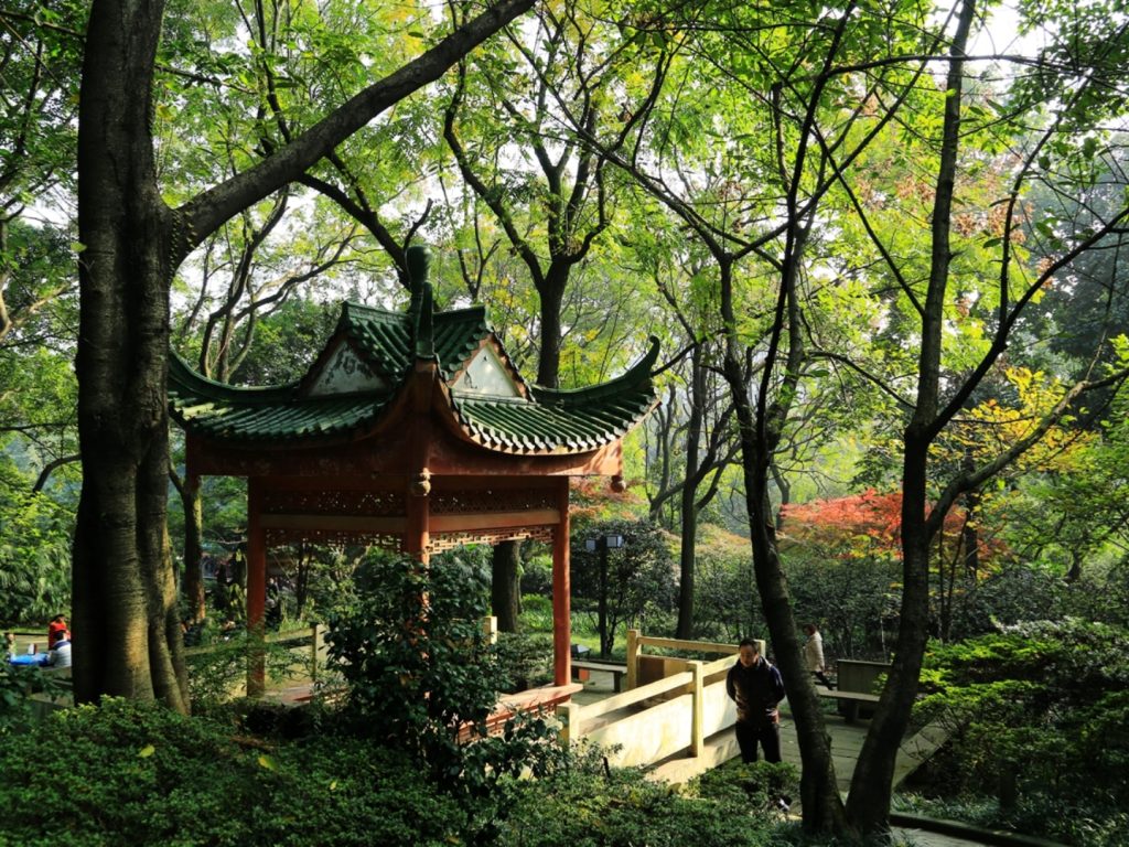 Early Spring Scenery at Eling Park