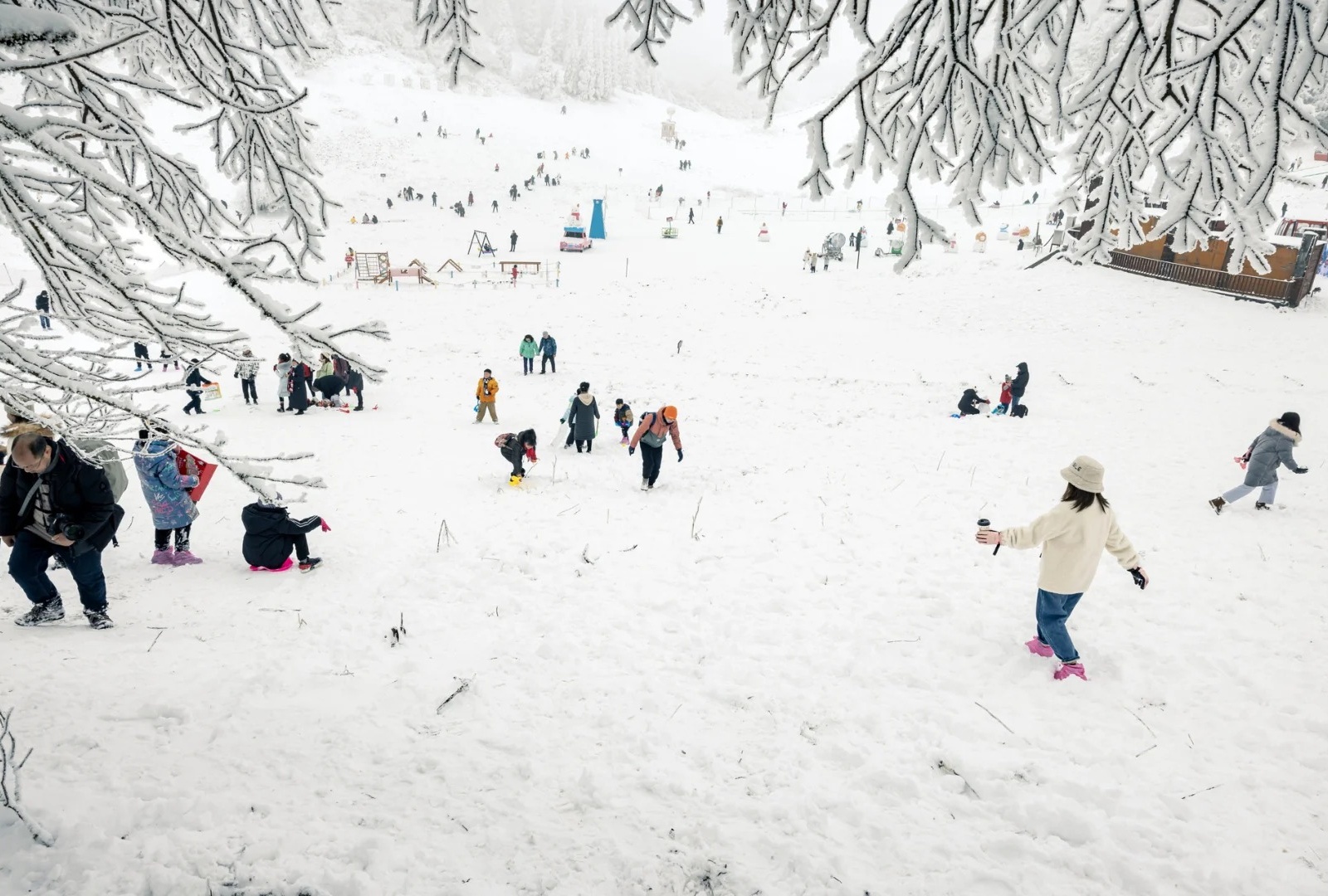 Jinfo Mountain in Winter