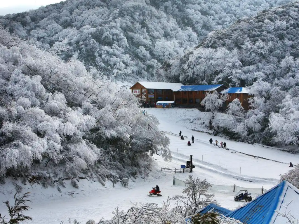 Jinfo Mountain in Winter