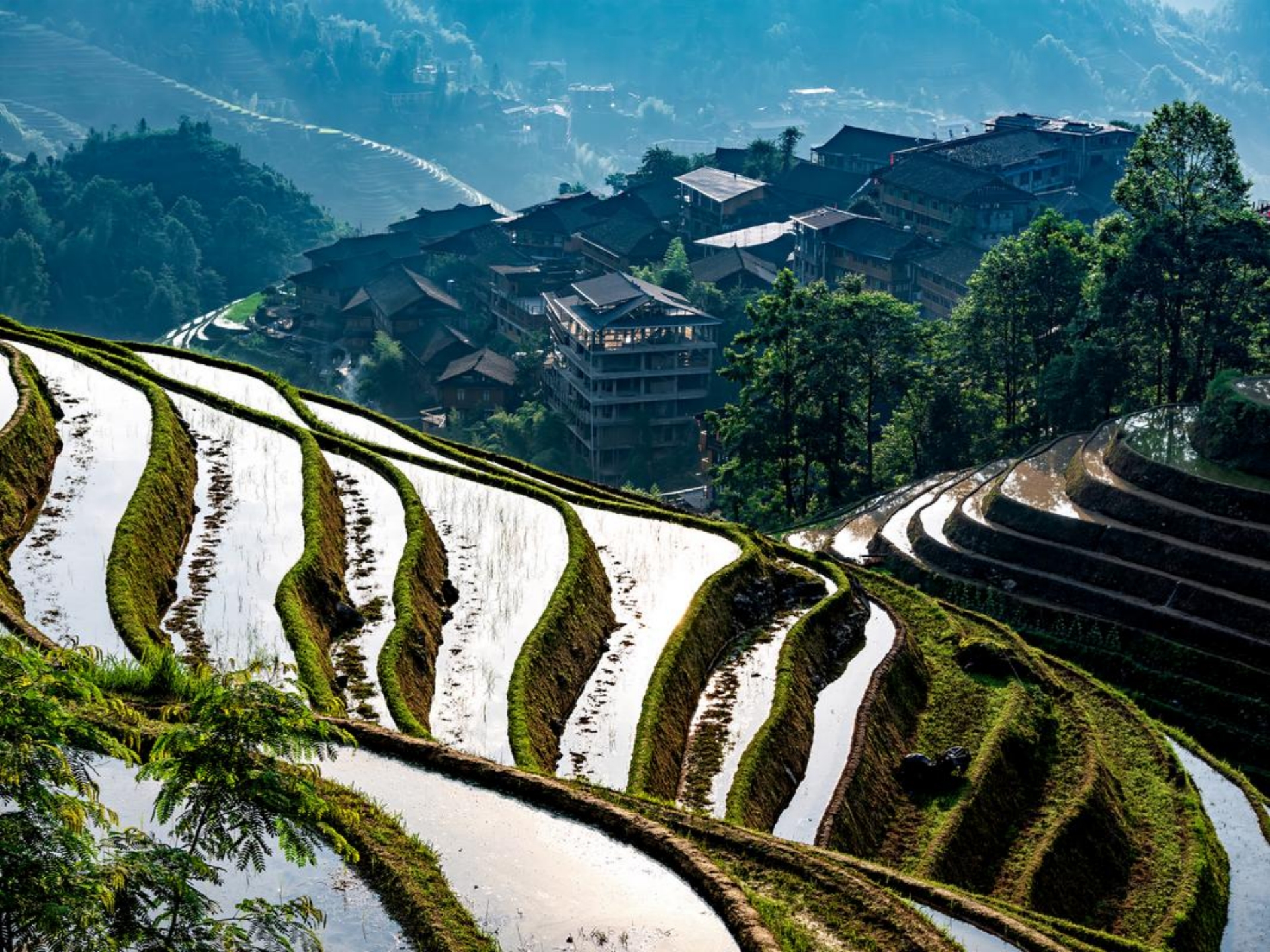 Longji Rice Terraces