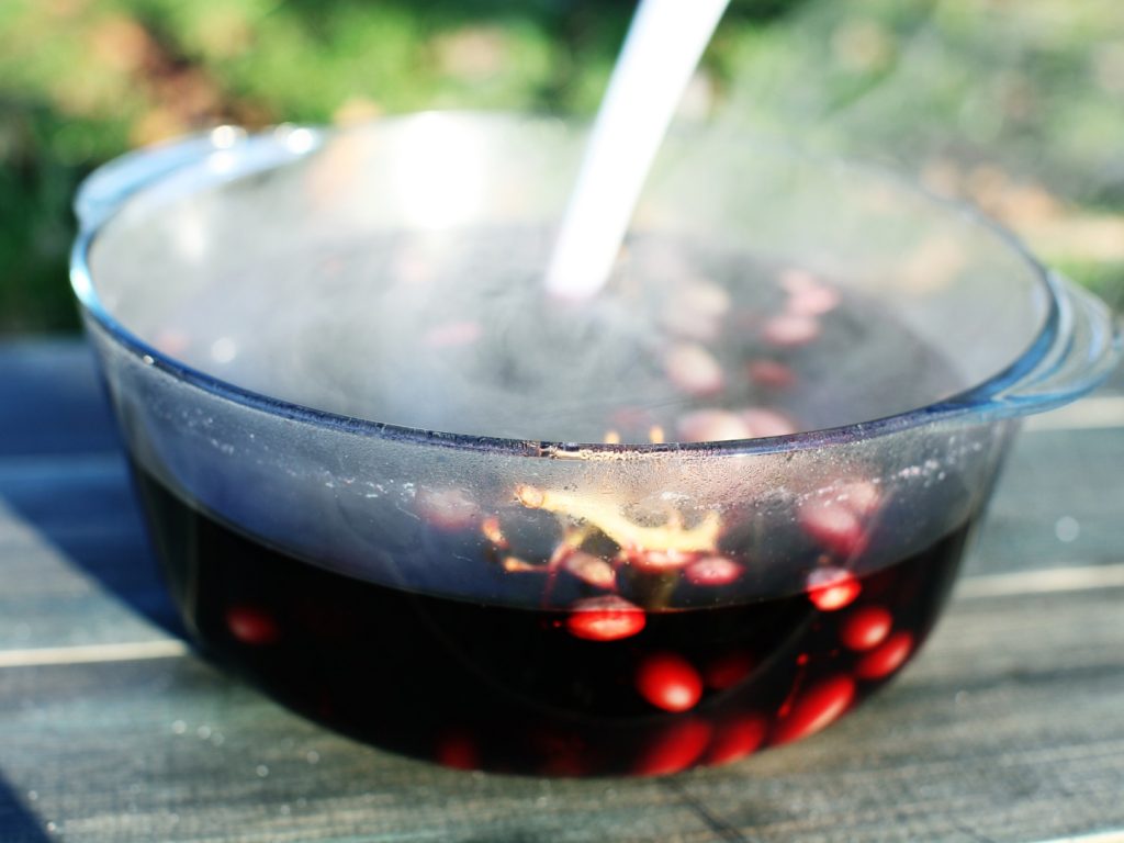 Sour Plum Soup (Suan Mei Tang 酸梅汤)