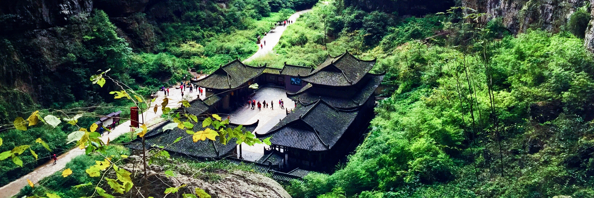 Wulong one day tour