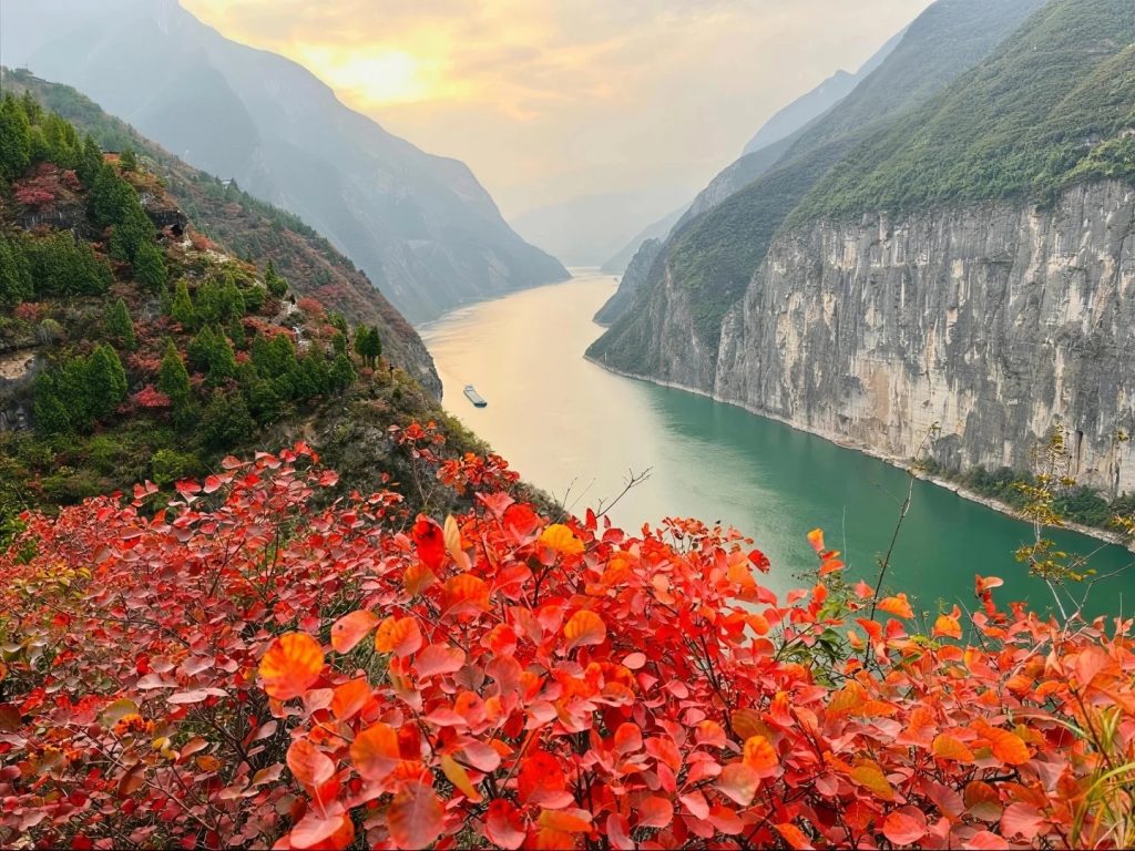 Yangtze cruise red leaves
