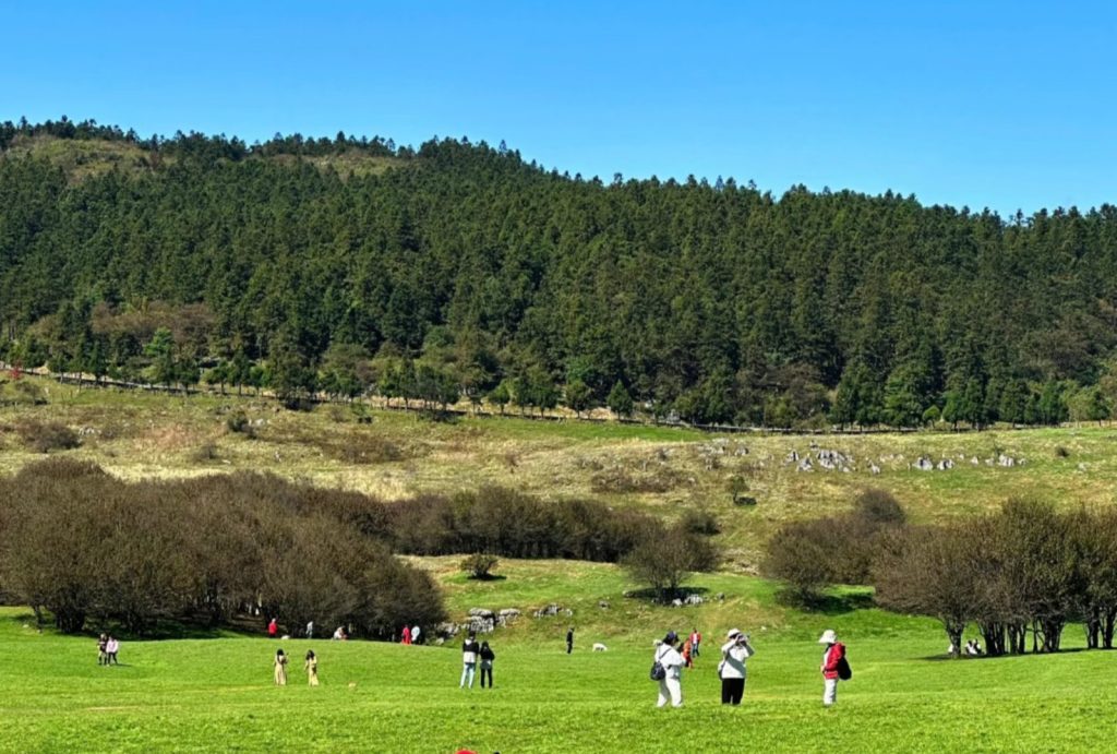Grassland in Fairy Mountain