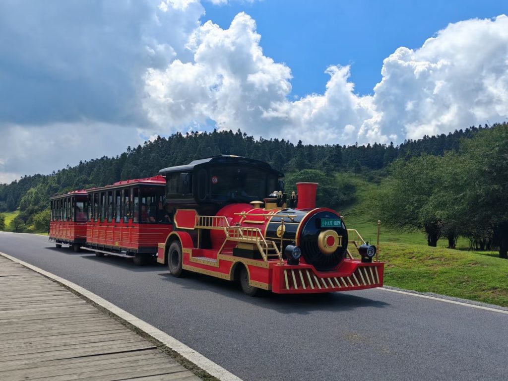 Sightseeing Train