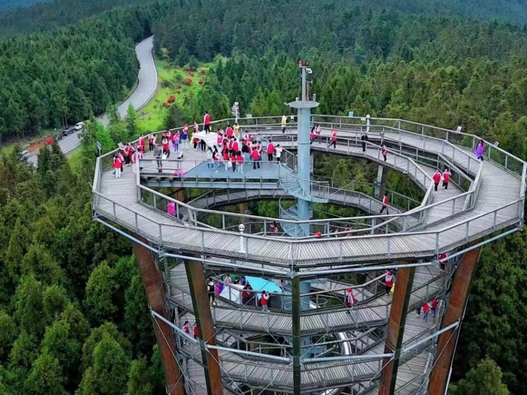 Treetop Walk (Forest Eye)