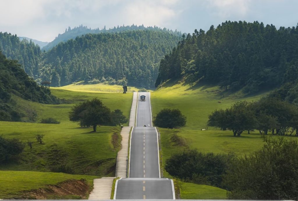 Wavy Road