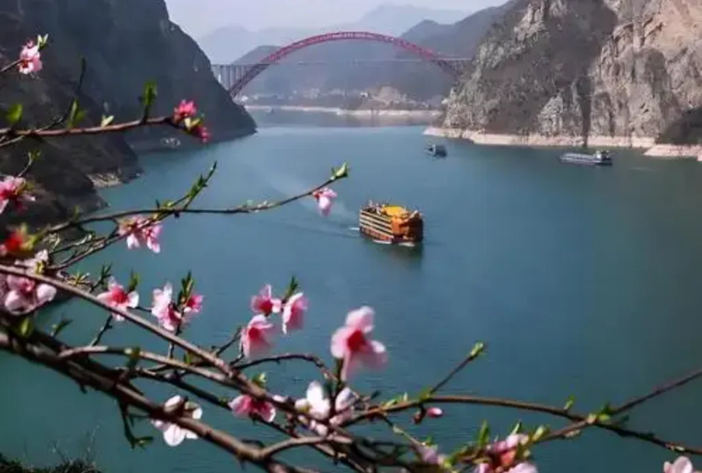 Yangtze River cruises through the Yangtze River in spring