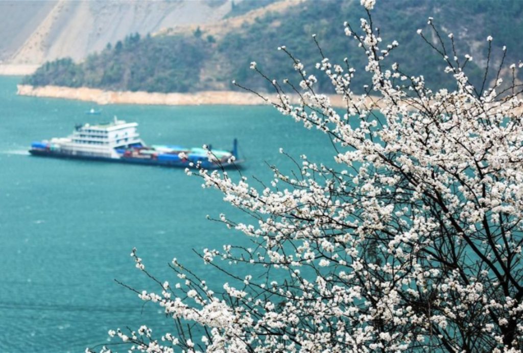 Cruise sailing through the Yangtze River in Spring