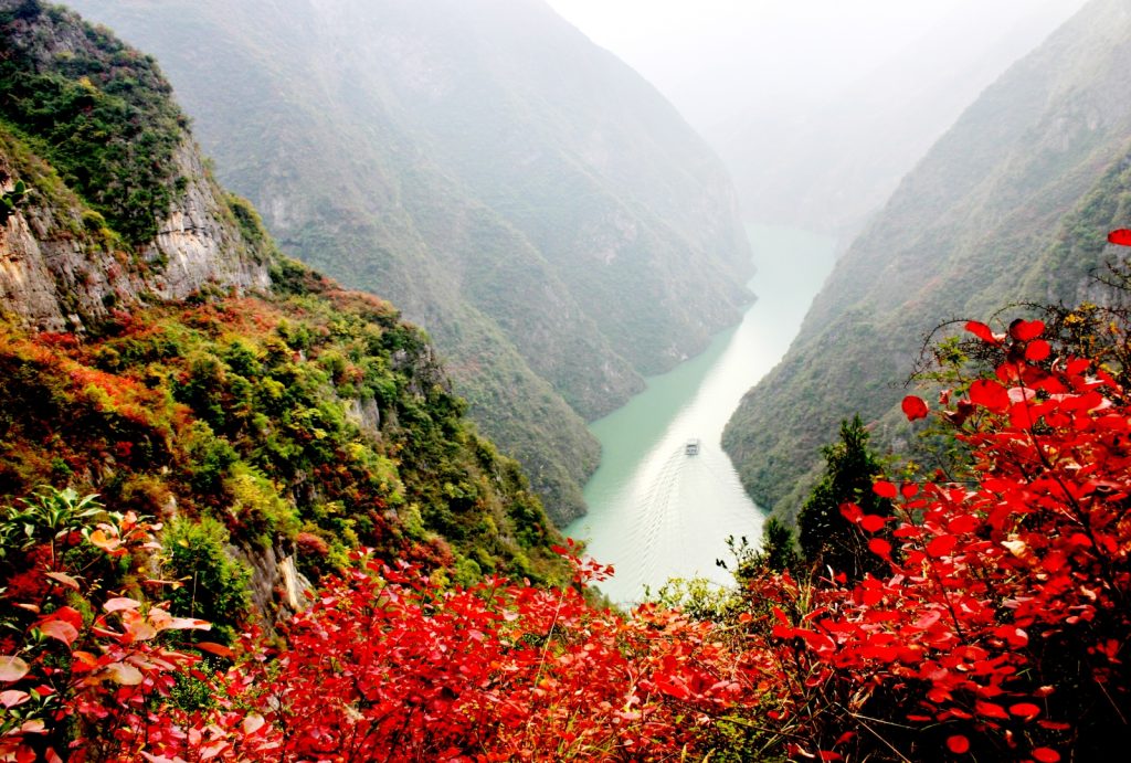 View of red leaves in Autumn from Three Gorges Summit