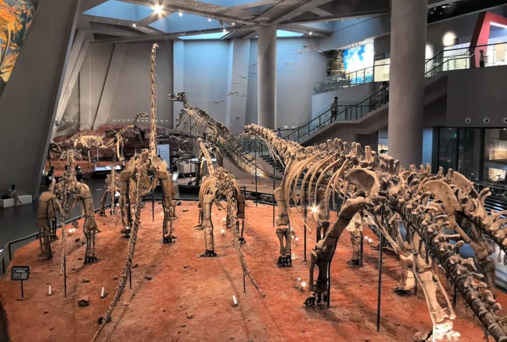 Exhibitions on dinosaurs