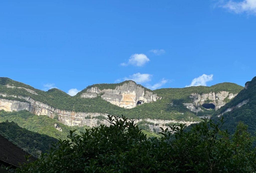 Clear sky and lush forest of Jinfo Mountain